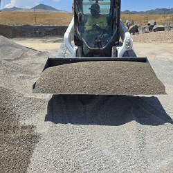 Olympus Insta-Path™