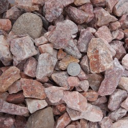 1 1/2" Mountain Rose