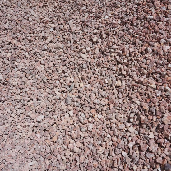 1 1/2" Mountain Rose