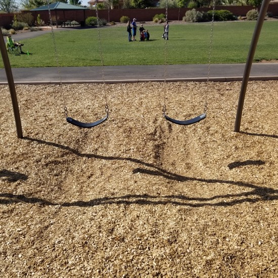 Certified Play Ground Chips