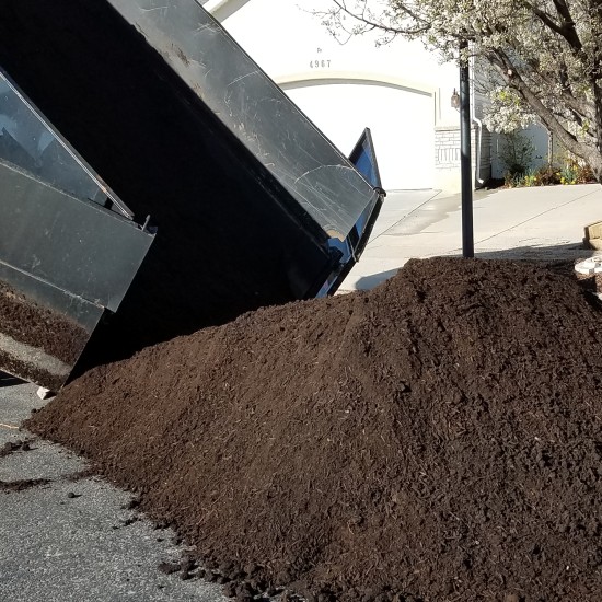 Raised Garden Bed Soil