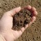 Premium Mushroom Screened Topsoil & Compost Mix